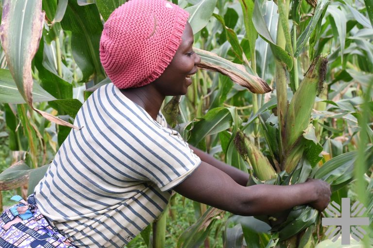 La femme rurale, un enjeu majeur pour le développement durable